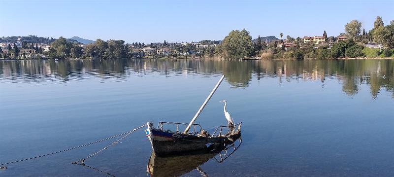 Elite Corfu - Adults Friendly Hotel Limni  Eksteriør billede